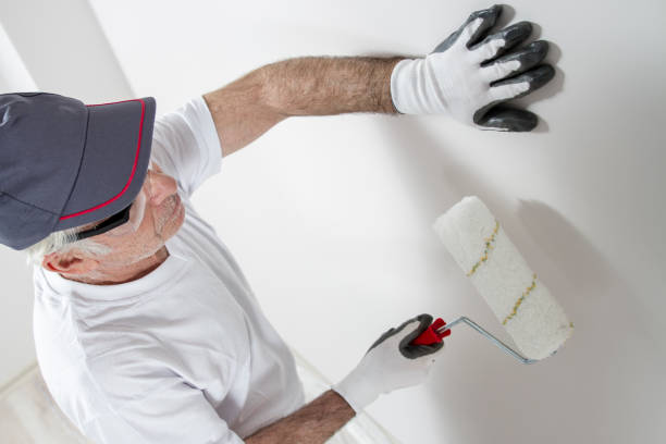 Best Industrial Mold Remediation  in San Castle, FL