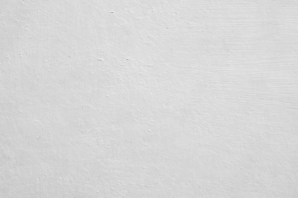Best Attic Mold Removal  in San Castle, FL