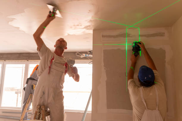 Best Mold Remediation for Healthcare Facilities  in San Castle, FL